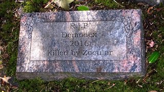 Zocular Kills Demodex [upl. by Ninos]