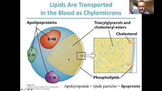 Fatty acid oxidation 1 [upl. by Attelra565]