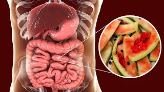 How To Clean Intestines And Stomach [upl. by Akered]