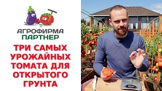 ТРИ САМЫХ УРОЖАЙНЫХ ТОМАТА ДЛЯ ОТКРЫТОГО ГРУНТА [upl. by Kilar]