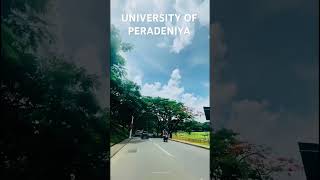 University of peradeniya Motivation ❤️🧑🏻‍🎓👨🏻‍🎓 [upl. by Garnette]