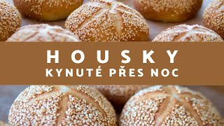 Housky kynuté přes noc raženky [upl. by Revlis]