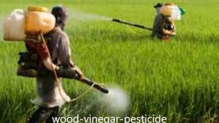 Wood vinegar pesticide  New Life Wood Vinegar  wwwwoodvinegarusacom [upl. by Darda360]