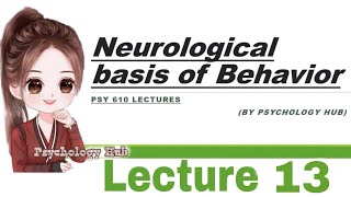 PSY 610 Neurological basis of behavior  lecture 13  Psychology hub [upl. by Aihk]