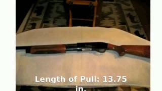 Weatherby PA08 Upland 20gauge Shotgun Info [upl. by Ahsito]