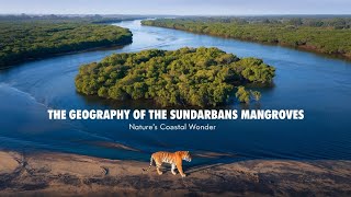 The Geography of the Sundarbans Mangroves Nature’s Coastal Wonder [upl. by Atem]