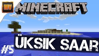 Minecraft Üksik saar 5  Liiga palju aknaid [upl. by Atnovart920]