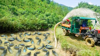 Use High Capacity Pump To Drain Fish Pond  Harvest And Use Truck Transport Many Fish Go To Sell [upl. by Rotsen]