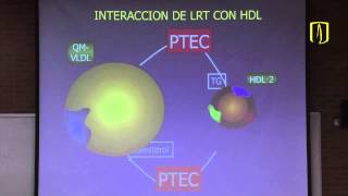 Metabolismo de lípidos  Bioquímica médica [upl. by Hughmanick191]