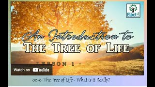 The Tree of Life What is it exactly [upl. by Ruggiero]