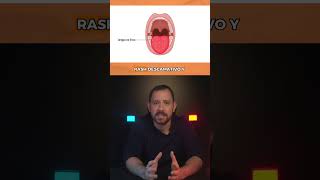 VASCULITIS explicadas fácil [upl. by Noy544]