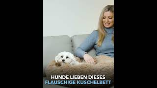 Flauschig weiches Hundebett Wolke 7  das Original [upl. by Gensler216]