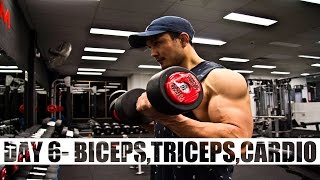 DAY 6 BICEPSTRICEPSCARDIO  ABSOLUTE MUSCLE 12 WEEK PROGRAM BY JEET SELAL HINDI [upl. by Tigdirb]