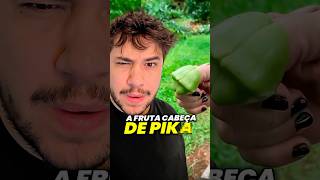 fruta diferente livedobrino humor MundinhoBrino [upl. by Mauralia]