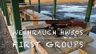 Weihrauch HW50S 177 break barrel pellet rifle first groups at 25 yards [upl. by Kcirde]