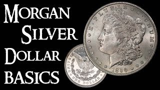 Morgan Silver Dollar Basics  Coin Collecting and Silver Stacking [upl. by Ariaes]