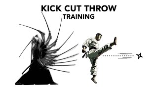 kick cut throw training battojutsu karate shurikenjutsu martialarts ninja samurai [upl. by Zinn]