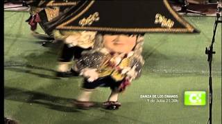 Danza de Los Enanos  2015 promo [upl. by Chantalle452]