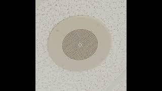 Bogen S86 Ceiling Speaker at Burlington [upl. by Pattison]