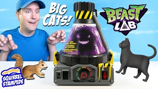 Beast LAB Stealth Strike Cat out of the Box Experiment Kit Squirrel Stampede Review [upl. by Nwahc]