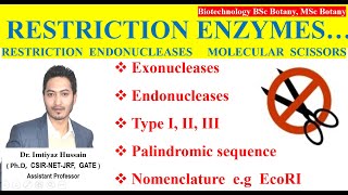 Restriction Enzymes botany biotechnology  Restrictions Endonucleases Molecular scissors [upl. by Bevash]