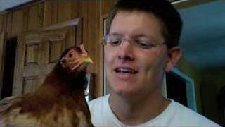 Chicken Head Tracking  Smarter Every Day [upl. by Alexandra]