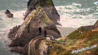 You must visit Dingle Ireland before you die [upl. by Natam17]