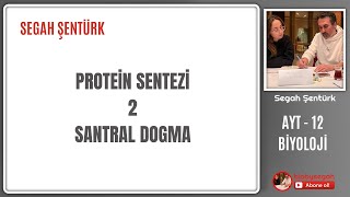 Genden Proteine  Protein Sentezi Part 2  AYT BİYOLOJİ  12SINIF  YKS 2025 [upl. by Brosy]