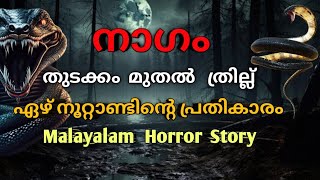 ഏഴ് ജന്മം എടുത്താലും തീരാത്ത പക ഓരോ നിമിഷവും ത്രില്ല്  malayalam horror story mysterious horror [upl. by Claudetta676]