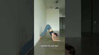 Wanna learn forearm stand Try this [upl. by Suoirred810]