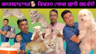 Cat price in Bangladesh  কাটাবন পোষা প্রাণী মার্কেট  Katabon Animal market in Bangladesh  pet [upl. by Nylatsyrc]