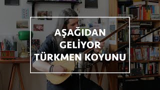 Mert Güney  Aşağıdan Geliyor Türkmen Koyunu [upl. by Ateekan]