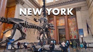 Visiting the American Museum of Natural History in New York City [upl. by Slocum383]