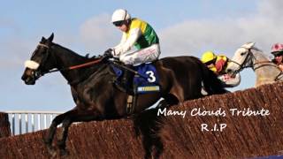 Many Clouds Tribute  Sleeping At Last RIP [upl. by Hadden120]