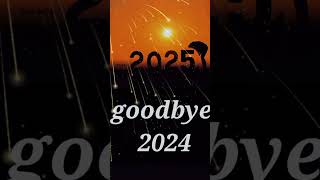 goodbye 2024 [upl. by Eelame]