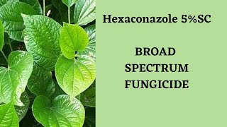 Hexaconazole 5SCBroad Spectrum Systemic Fungicide [upl. by Elva256]