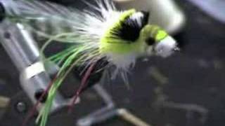 Tying a Dahlberg Diver  Part 4 [upl. by Francois]