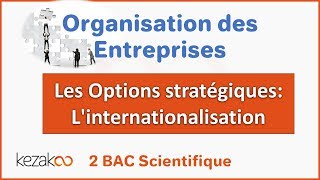 Organisation des Entreprises 2 BAC  Les Options Stratégiques lintégration [upl. by Arundell]