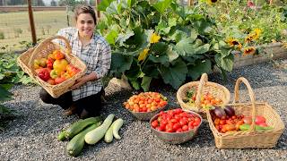 Full September Garden Tour and a Massive Harvest [upl. by Ylnevaeh202]