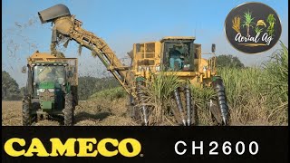 Cameco CH2600 2 Row Cane Harvester 2023 Louisiana Grinding [upl. by Oruhtra24]