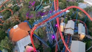 SheiKra front row Thanksgiving Day POV at Busch Gardens Tampa [upl. by Oreves]