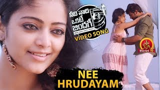 Needi Naadi Okkate Zindagi Full Video Songs  Nee Hrudayam Video Song  Janani Iyer [upl. by Spracklen]