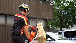 Chainsaw Carving at Protos Pfanner [upl. by Gottwald781]