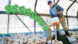 Stop Losing Money Feeding Your Chickens Complete Guide [upl. by Kimmel]