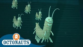 Octonauts  Insect or Fish  Songs of the Deep  Cartoons for Kids [upl. by Meer252]