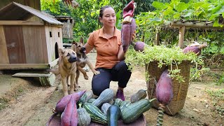 Harvest Pumpkins Banana flowers amp Papaya flower in farm go market sell  Ly Thi Ca [upl. by Kopaz]