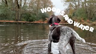 Mara Mimi and Mia do Mytchett Woods and water [upl. by Scoles324]