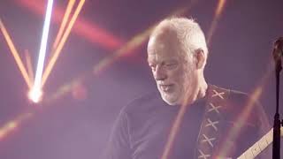 The absolutely best performance guitar solo of David Gilmour [upl. by Weslee]