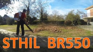 STIHL BR550 LE souffleur à feuille [upl. by Pytlik474]