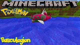 HOW TO FIND BASCULEGION IN PIXELMON REFORGED  MINECRAFT GUIDE [upl. by Arbba]